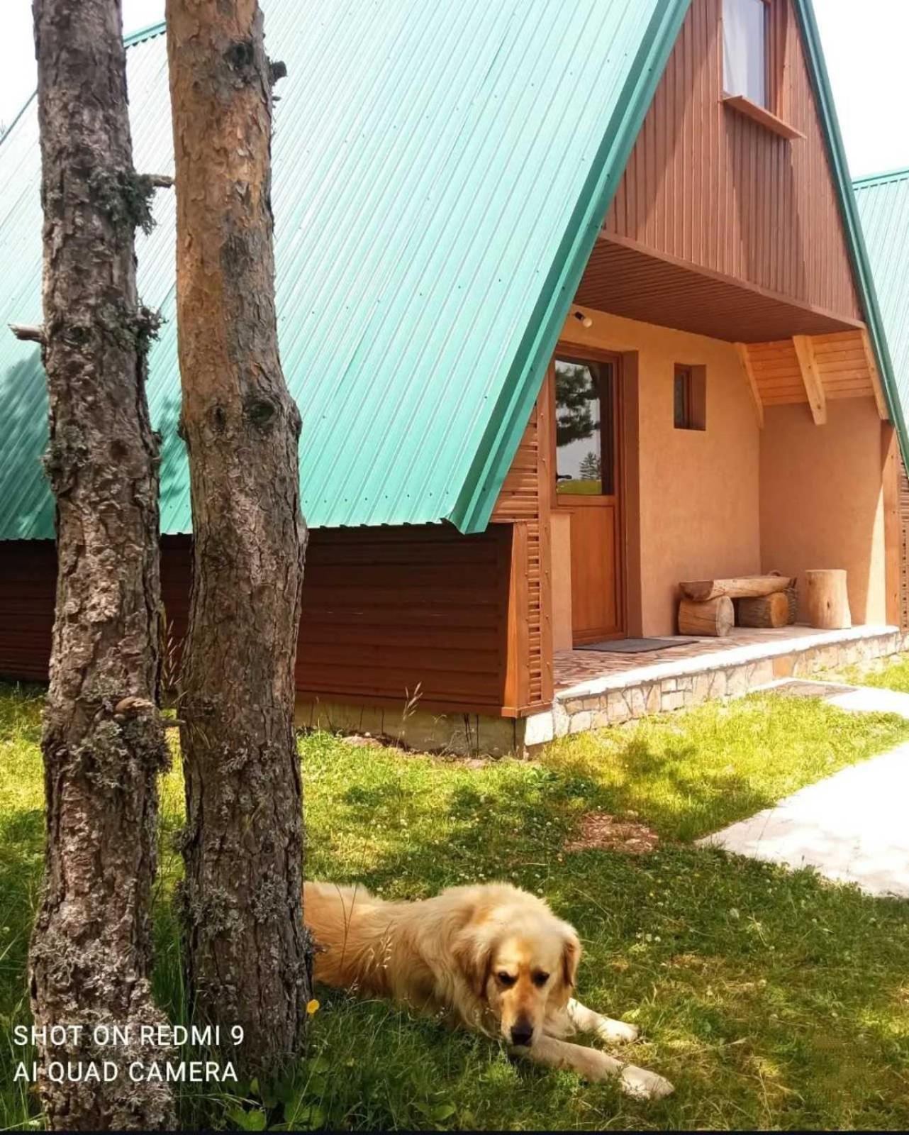 Villa Vikendice Smolovic Žabljak Exterior foto